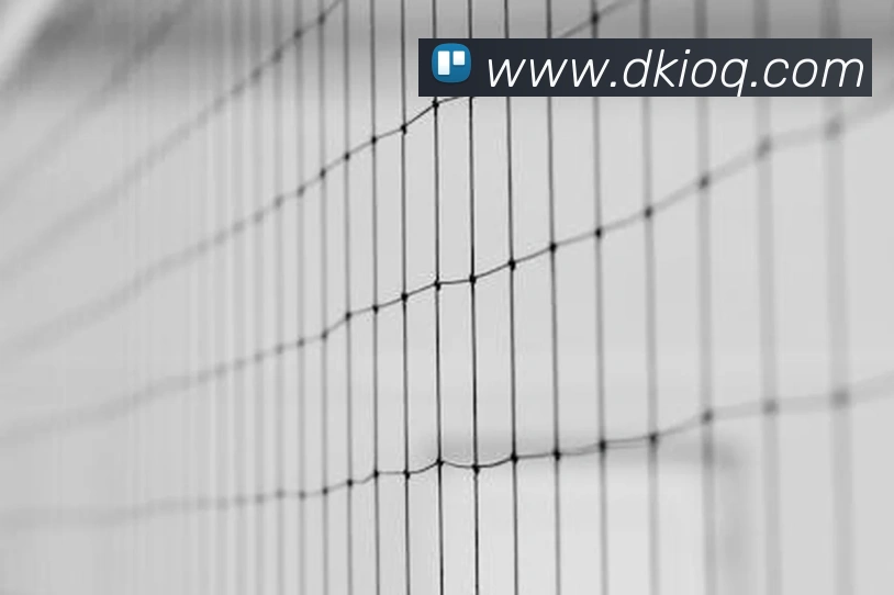 App Interface Preview